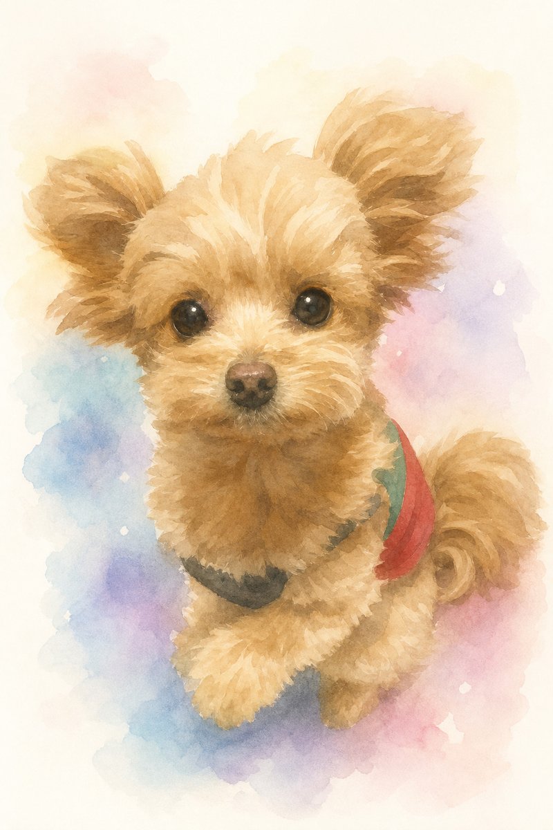 小型犬のイラスト作例