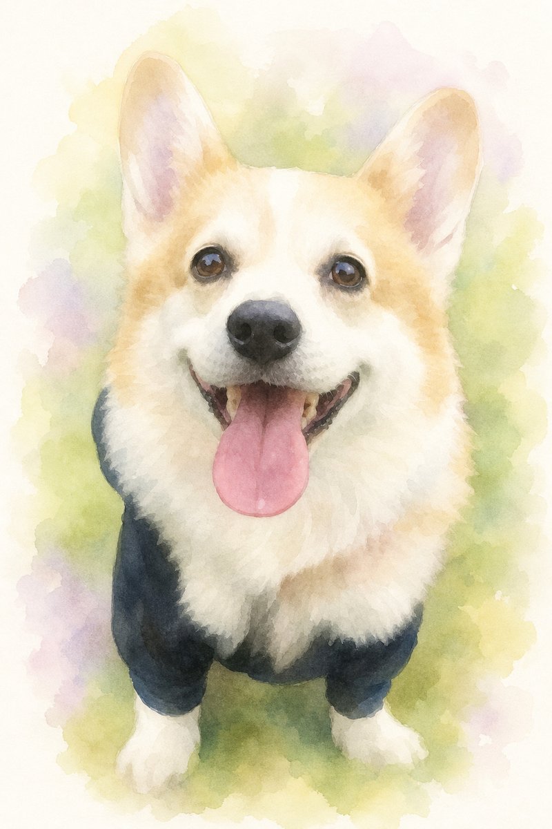コーギーのイラスト作例