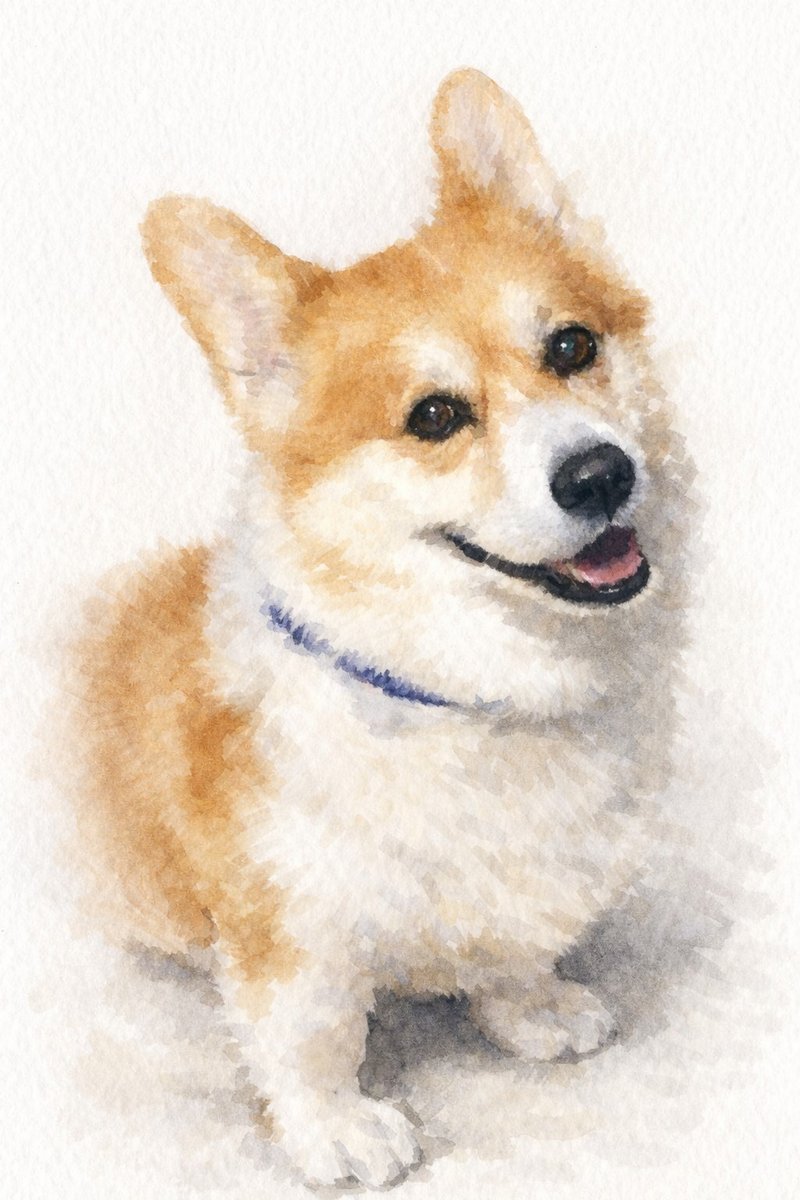 コーギーの水彩風イラスト作例6
