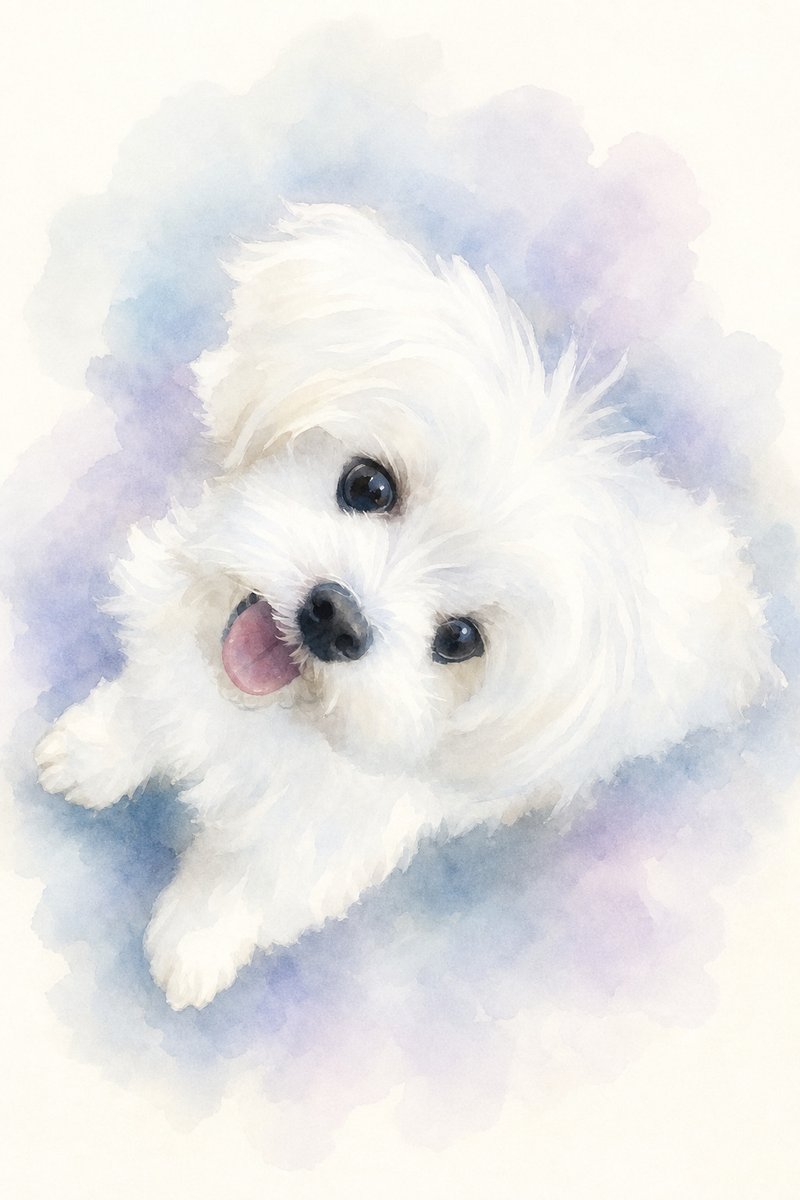 マルチーズの水彩風イラスト作例3