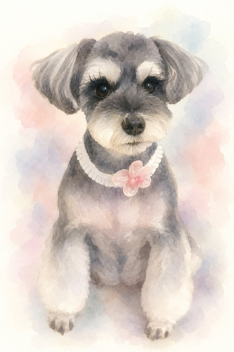 ミニチュアシュナウザーのイラスト作例