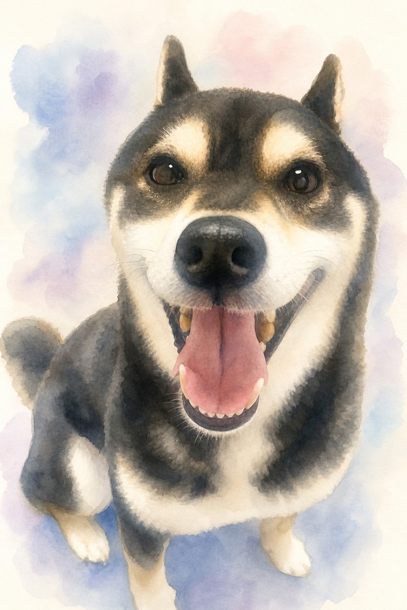 柴犬の水彩風イラスト作例2